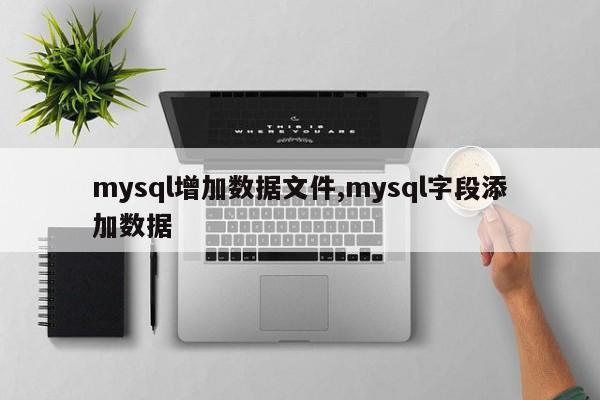 mysql增加数据文件,mysql字段添加数据