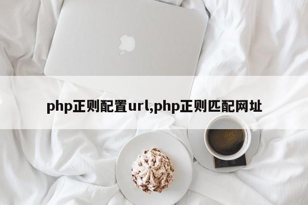 php正则配置url,php正则匹配网址