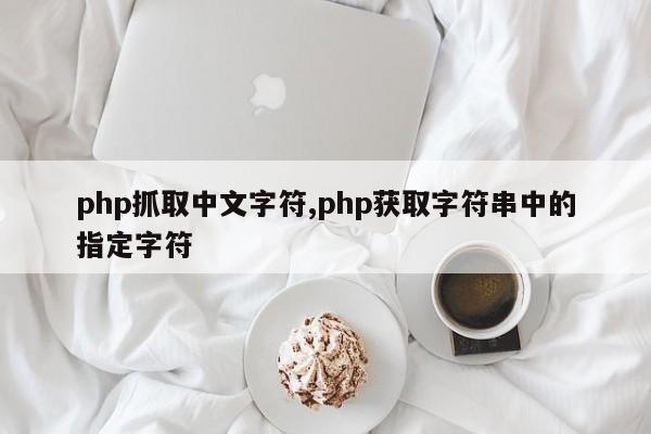 php抓取中文字符,php获取字符串中的指定字符