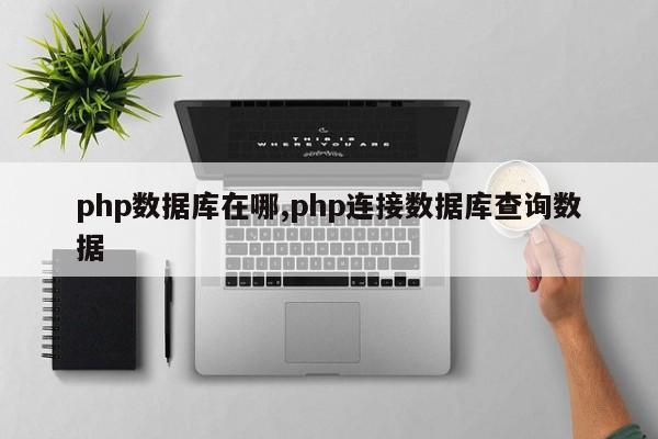 php数据库在哪,php连接数据库查询数据