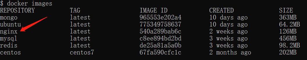 Docker 安装 Nginx 入门教程