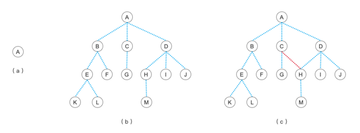 PHP数据结构：树和二叉树