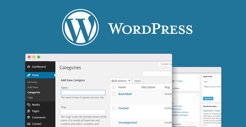 WordPress如何通过文章分类和标签改进网站SEO