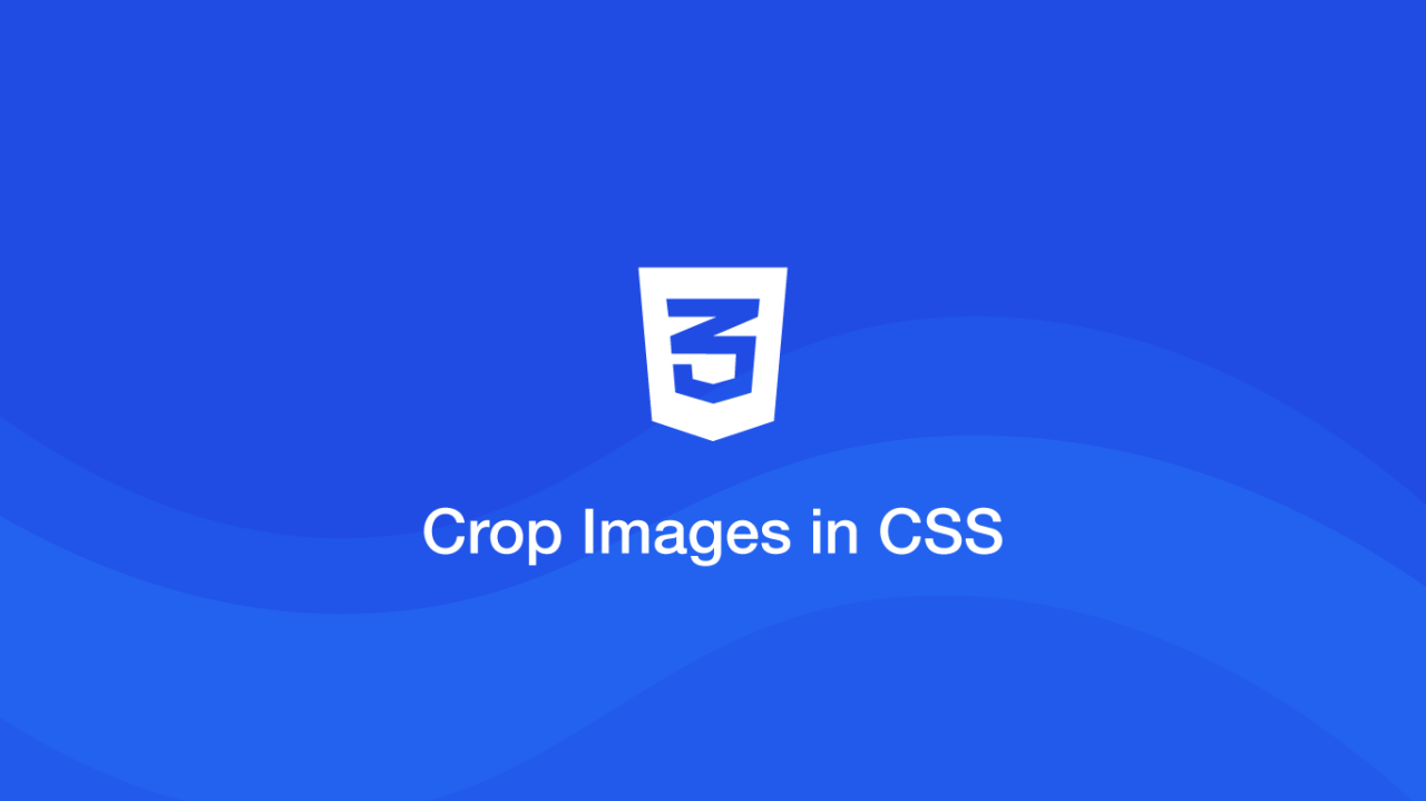 CSS object-fit属性，让图片实现适应宽高比