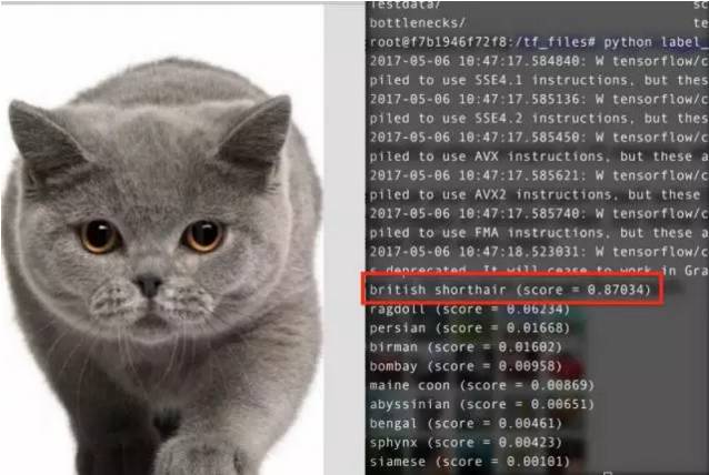 图像分类5种技术，总结并归纳算法、实现方式，进行实验验证