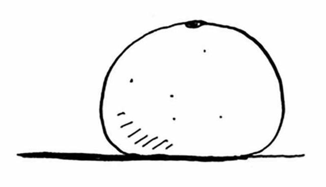 机器学习算法图解：K最近邻算法——橙子还是柚子？