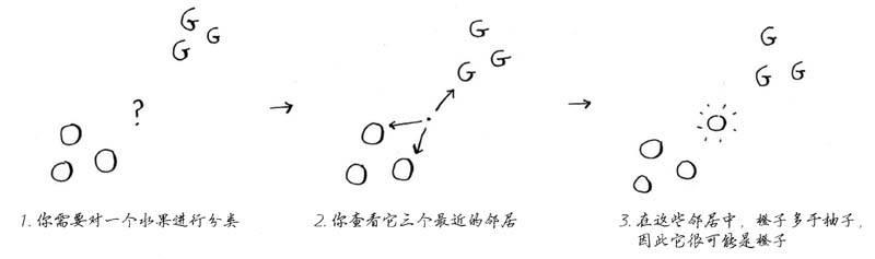 机器学习算法图解：K最近邻算法——橙子还是柚子？