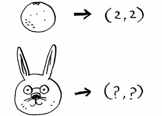 机器学习算法图解：K最近邻算法——橙子还是柚子？