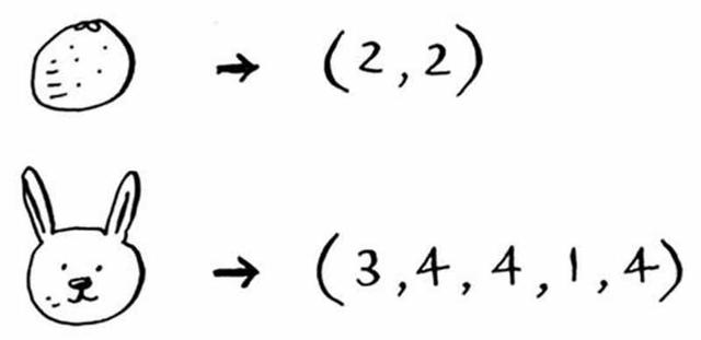 机器学习算法图解：K最近邻算法——橙子还是柚子？