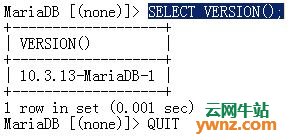 Debian 10 Buster安装PostgreSQL 11和MariaDB的说明