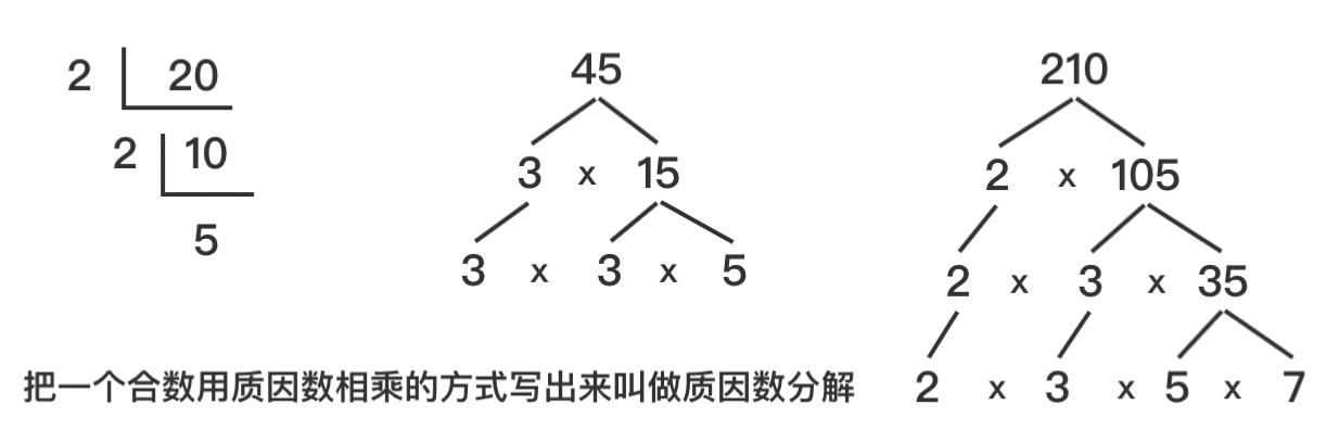 质因数分解算法例子：看不同编程语言有哪些差异？如何选择入门语言？