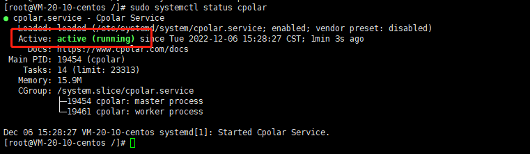 CentOS 中如何搭建 web 服务器？