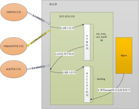 同是事件驱动，为什么NGINX性能远高于Redis？如何协同处理请求？使用多核CPU？