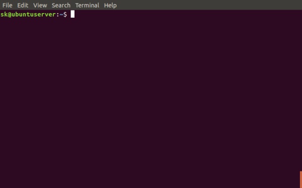 大写字母输入 Linux 命令以将其作为 sudo 用户运行