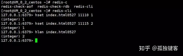 拼多多面试真题：如何用 Redis 统计独立用户访问量！