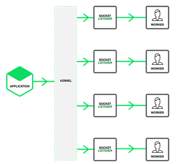 同是事件驱动，为什么NGINX性能远高于Redis？如何协同处理请求？使用多核CPU？