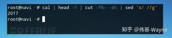 黑客 Shell 神技：掩盖 Linux 服务器上的操作痕迹