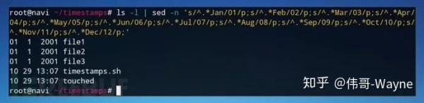 黑客 Shell 神技：掩盖 Linux 服务器上的操作痕迹