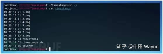 黑客 Shell 神技：掩盖 Linux 服务器上的操作痕迹