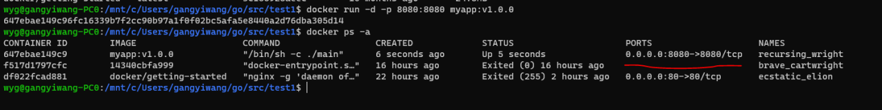 Docker部署golang微服务项目实践教程