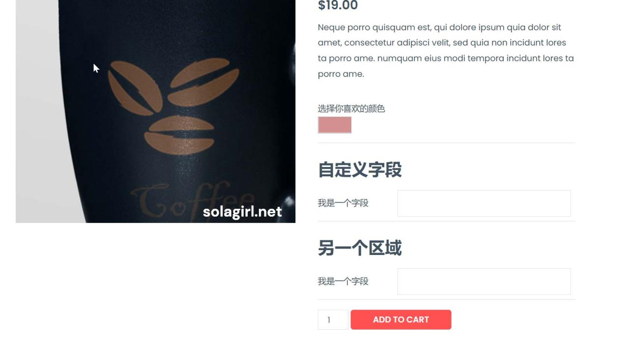 如何为WooCommerce产品页添加自定义字段